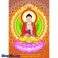 Hình Dược Sư Lưu Ly Quang Vương Phật